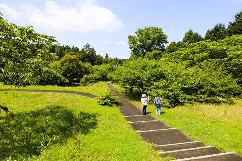 20200819MT2149.jpg