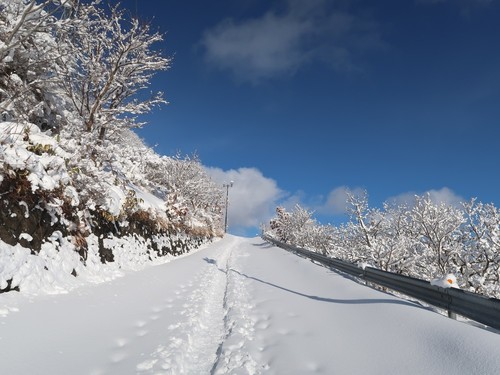210102M01.JPG