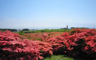 恵山つつじ公園